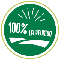 Logo-100Reunion-original-vert-cerlce